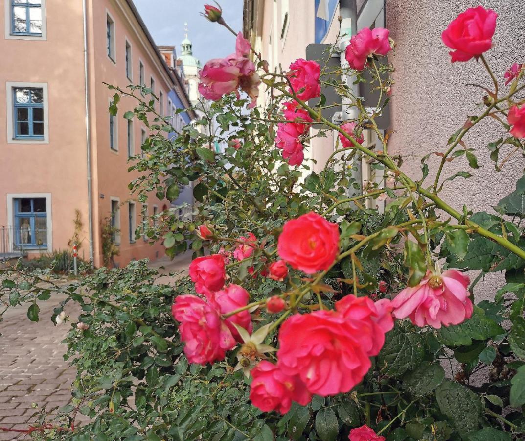 Apartment Fynbos Dg In Der Altstadt, Frauenkirchenblick, Parkplatz