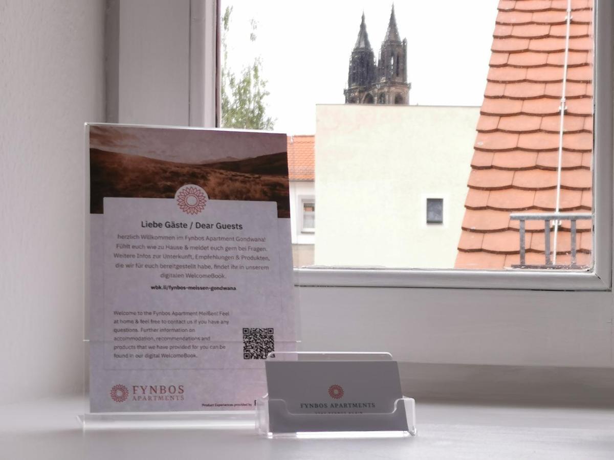 Fynbos Dg In Der Altstadt, Frauenkirchenblick, Parkplatz