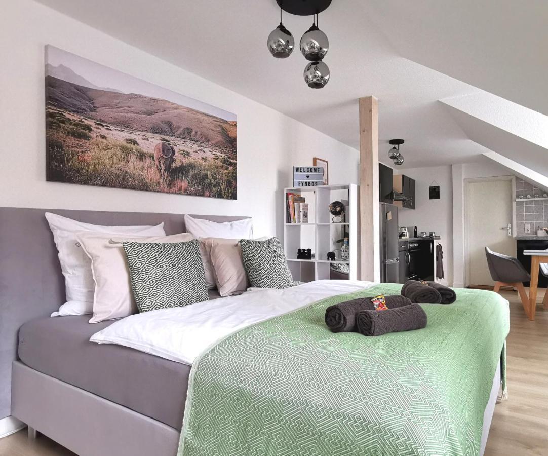 Apartment Fynbos Dg In Der Altstadt, Frauenkirchenblick, Parkplatz Meissen